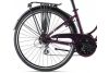 Rower damski Liv  Flourish FS 2 - Śliwkowy - w 100% gotowy do jazdy